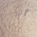 Bulk Gold Sea Moss Powder | 1–100 lb Business Supply