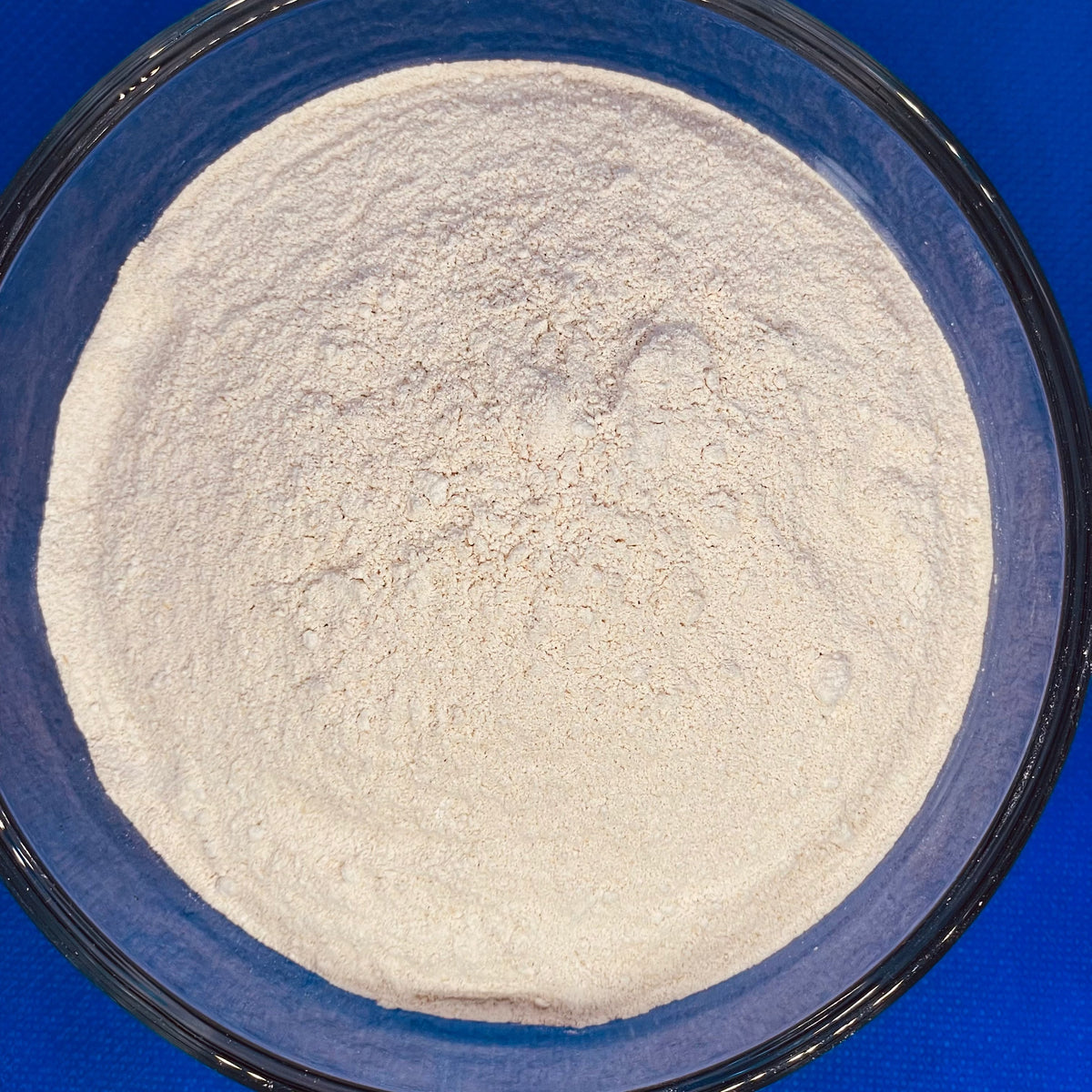 Bulk Gold Sea Moss Powder | 1–100 lb Business Supply