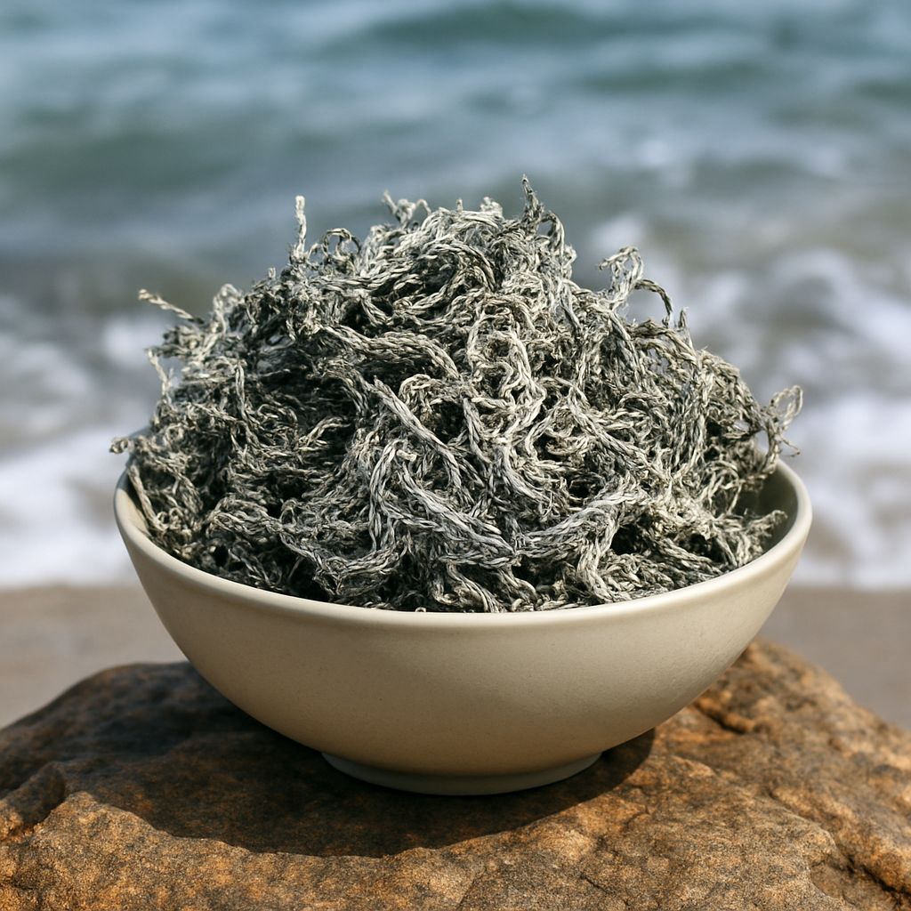 Green Sea Moss Wholesale | 5–50 lb Dried Bulk